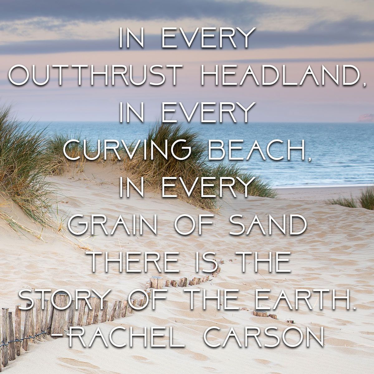 Rachel Carson Quote